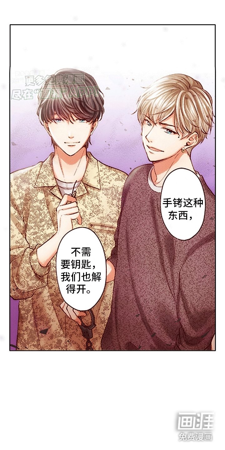 第6章：直播
