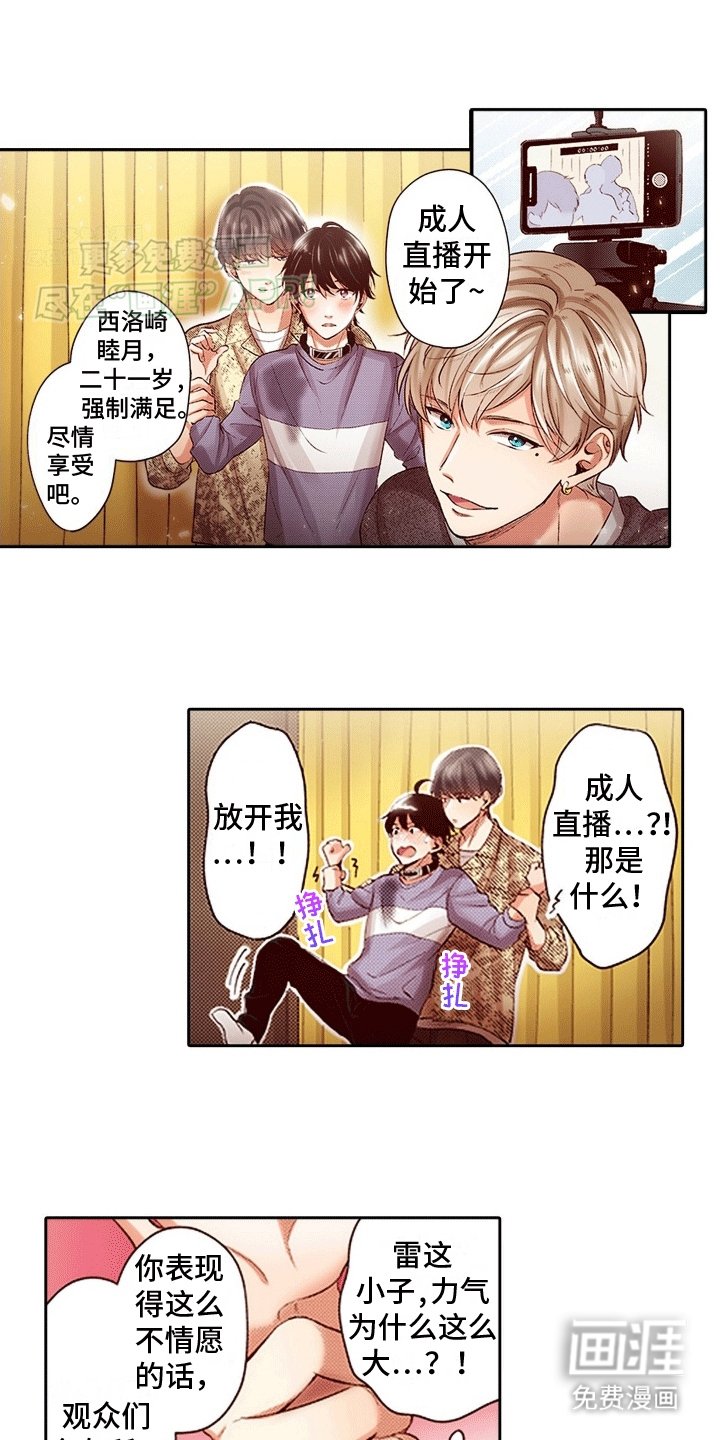 第6章：直播