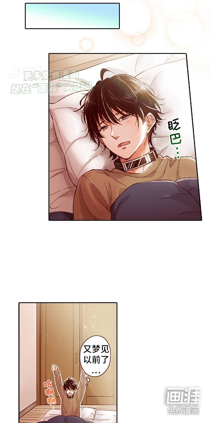 第7章：互换身份