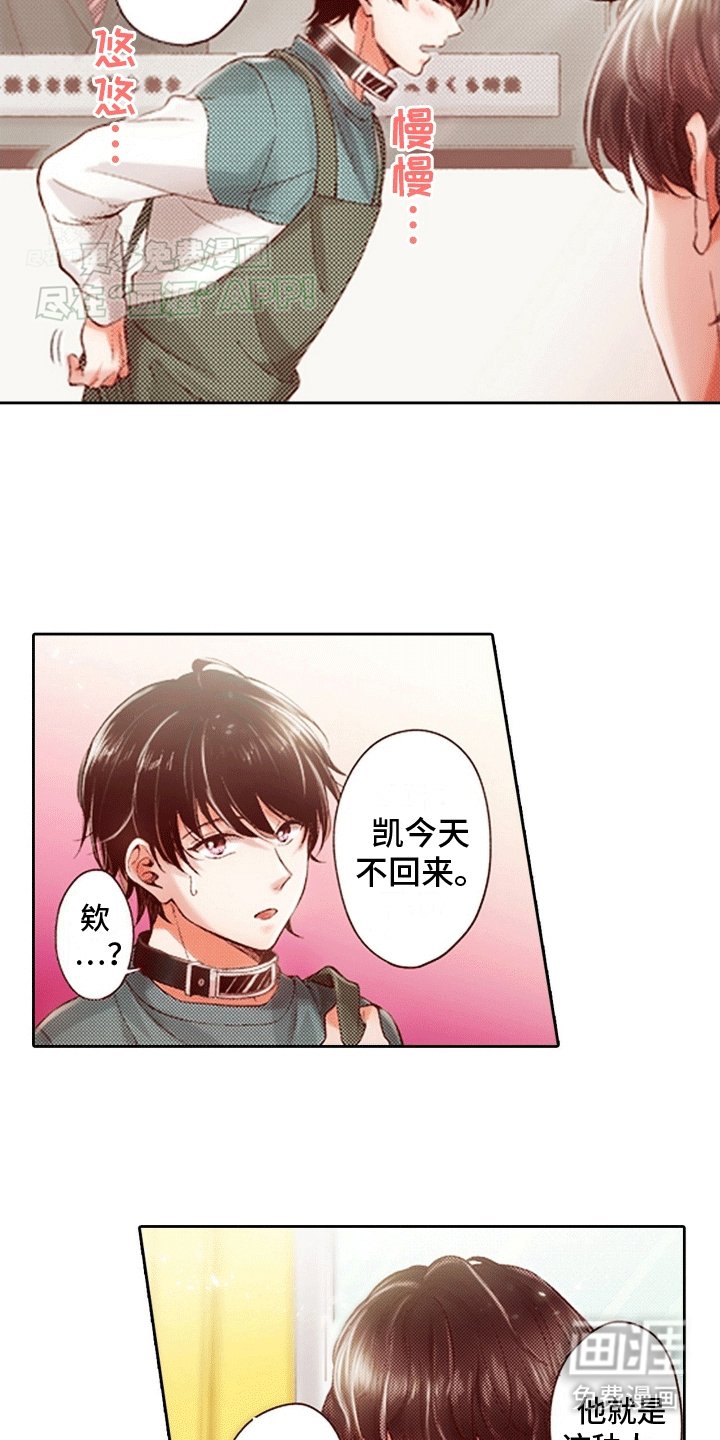 第8章：永远不会认错