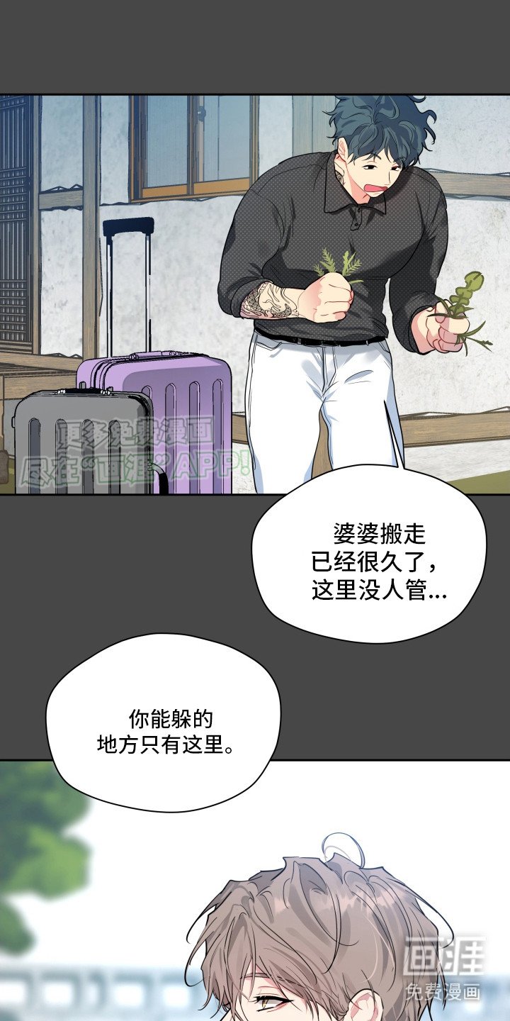 第3章：好漂亮