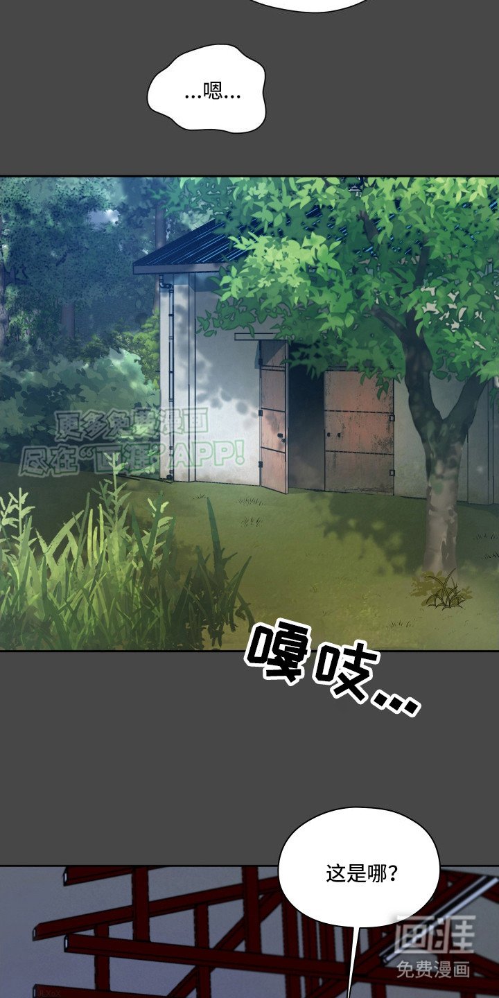 第5章：太好了