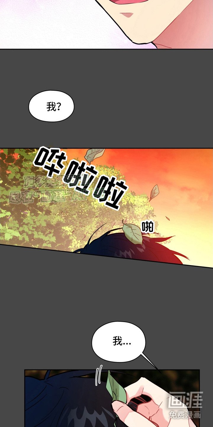 第6章：理由