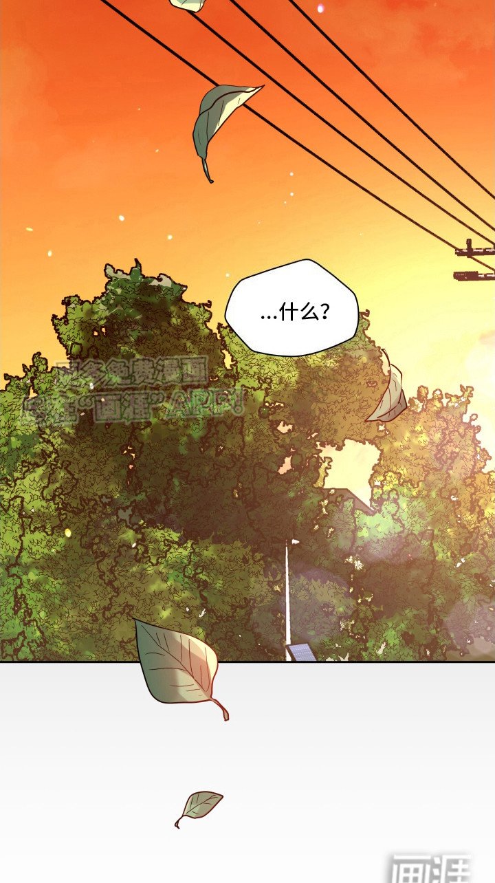 第6章：理由