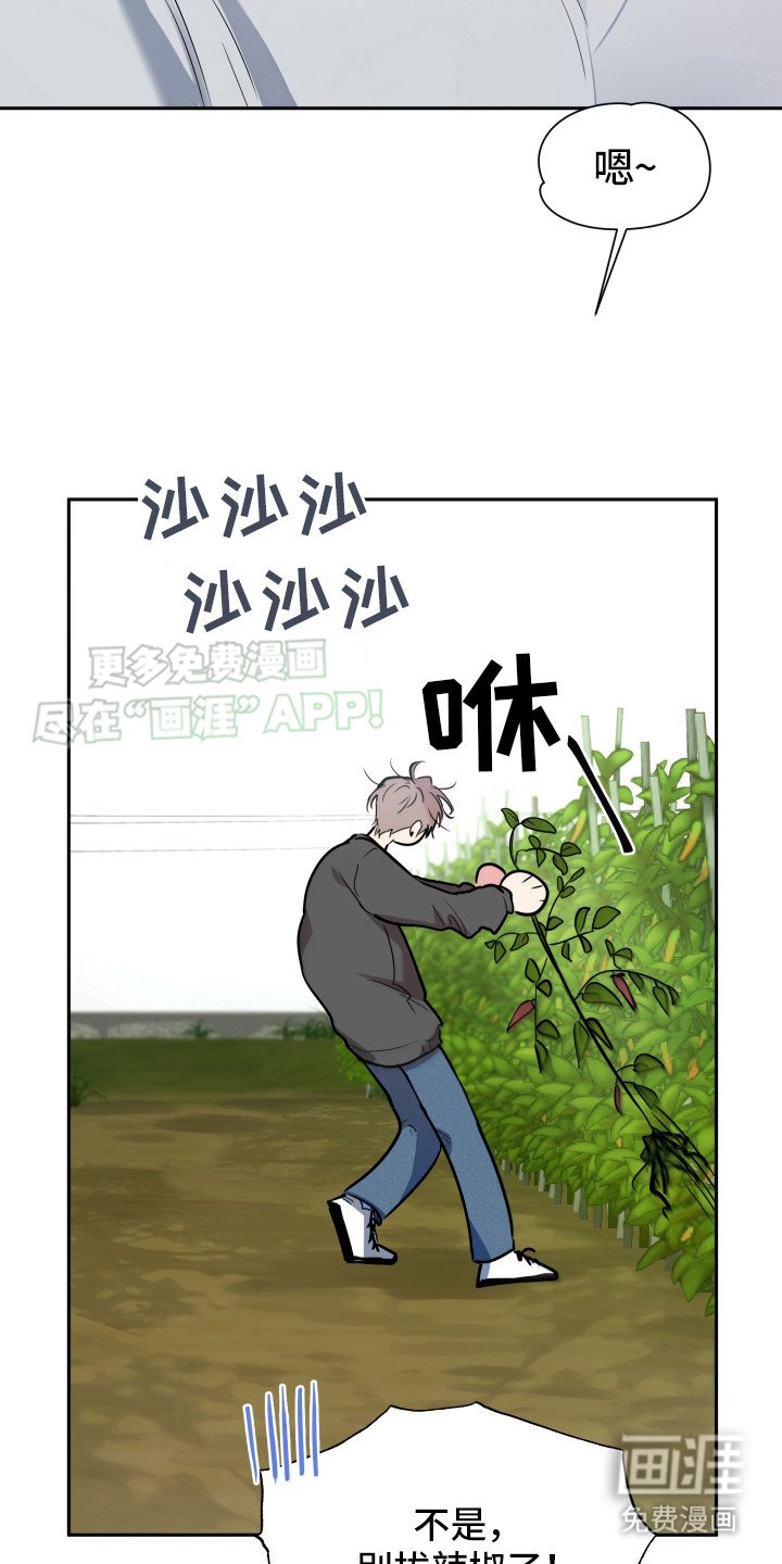 第7章：干活