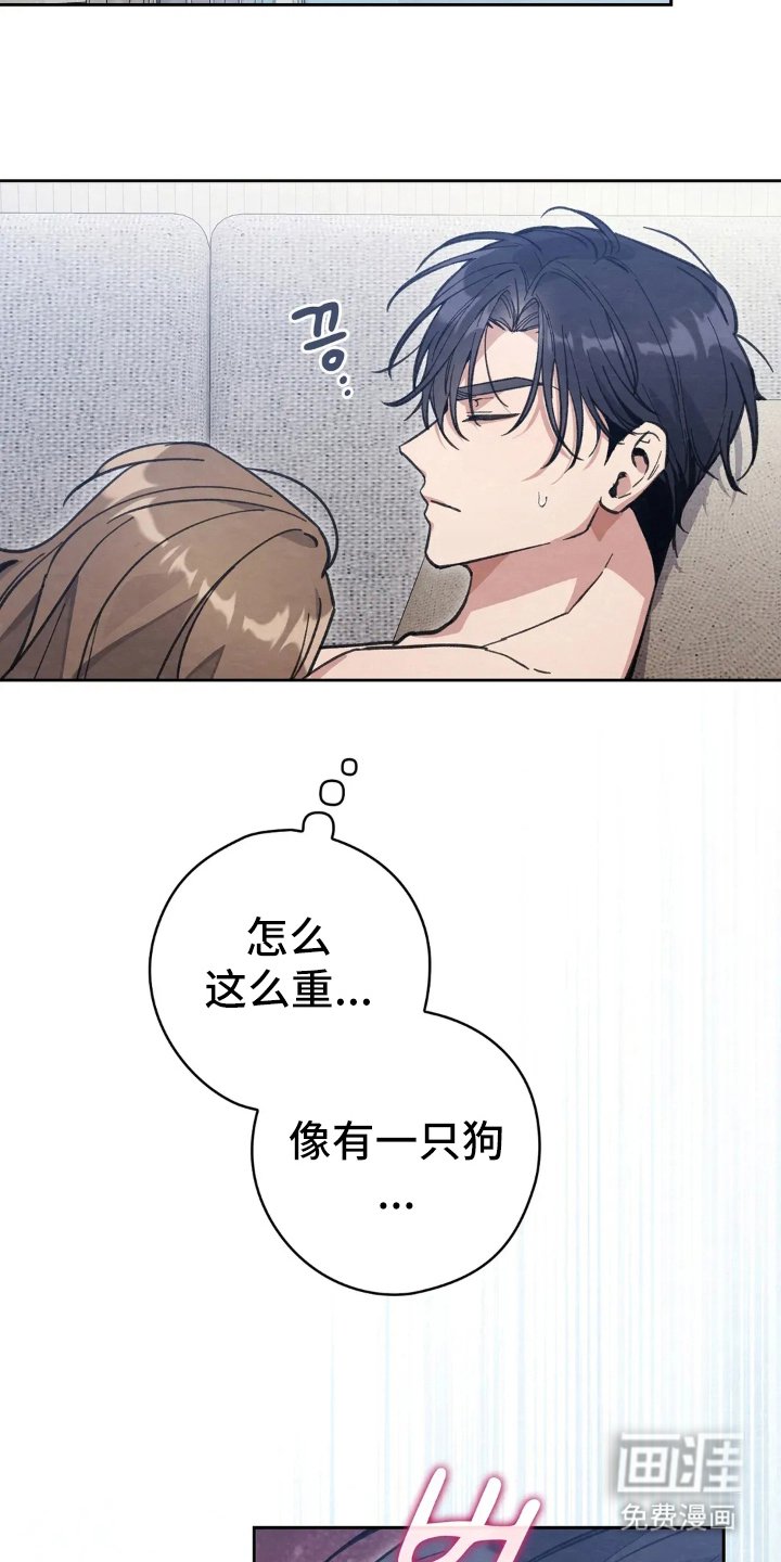 第15章：现实