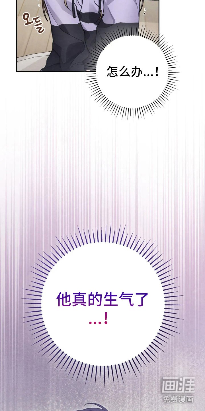 第16章：喜欢的原因