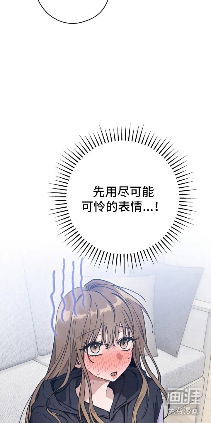 第16章：喜欢的原因