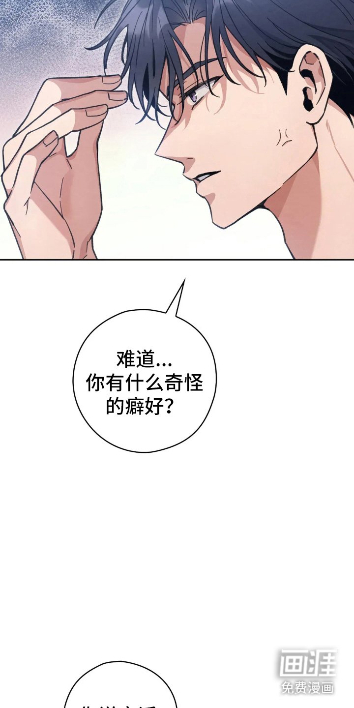 第16章：喜欢的原因
