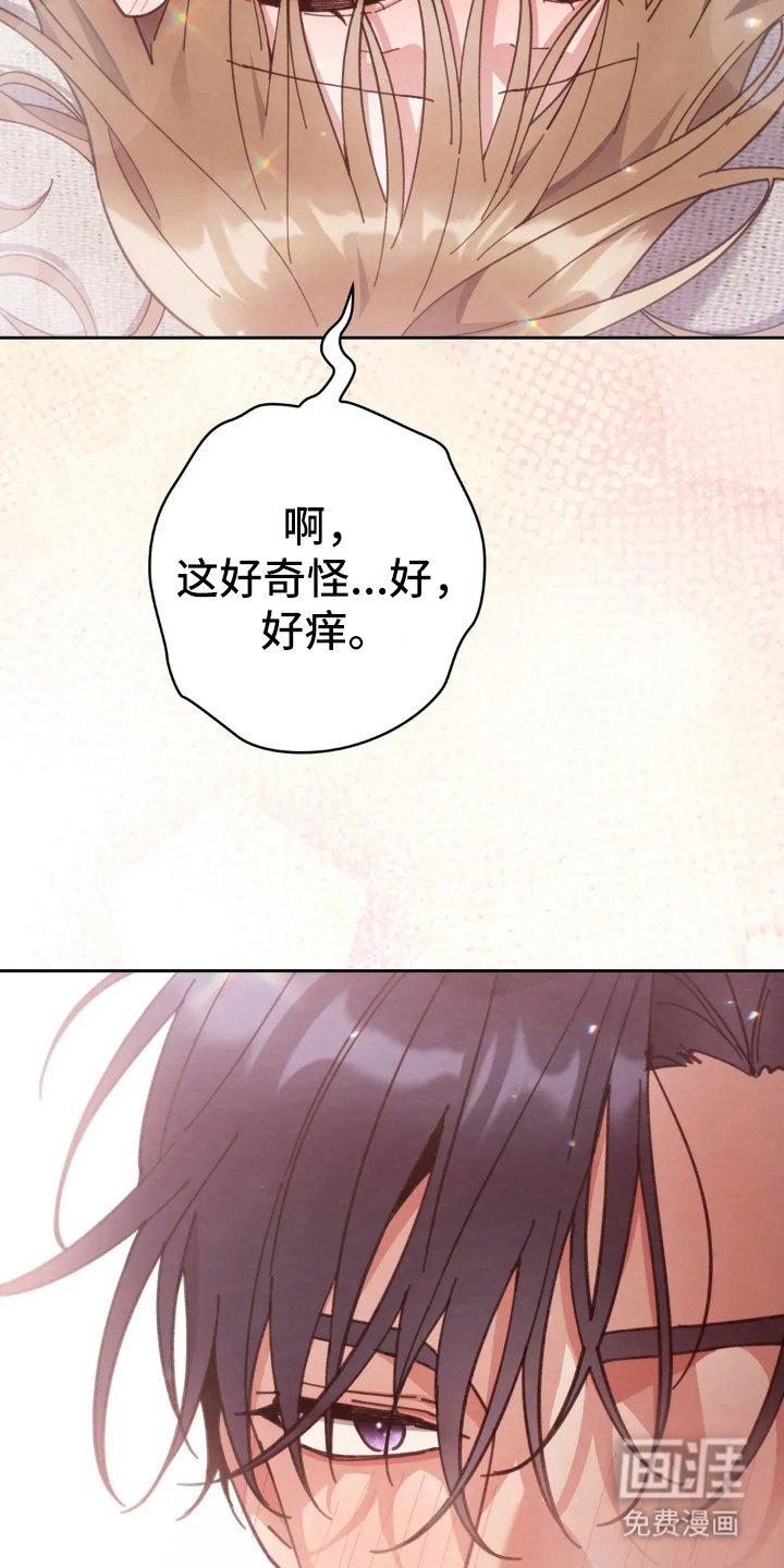 第17章：教育