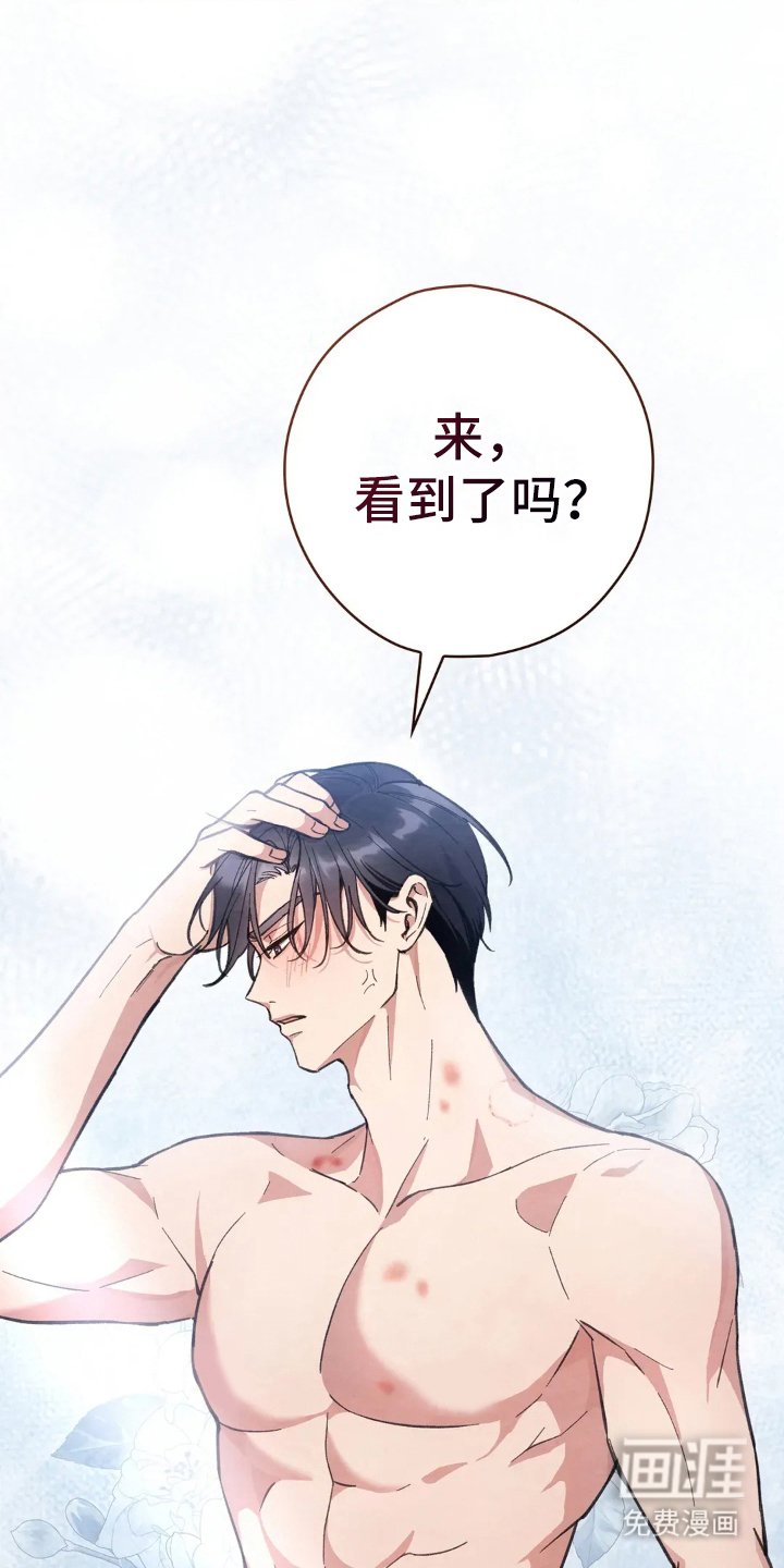 第5章：我干的吗