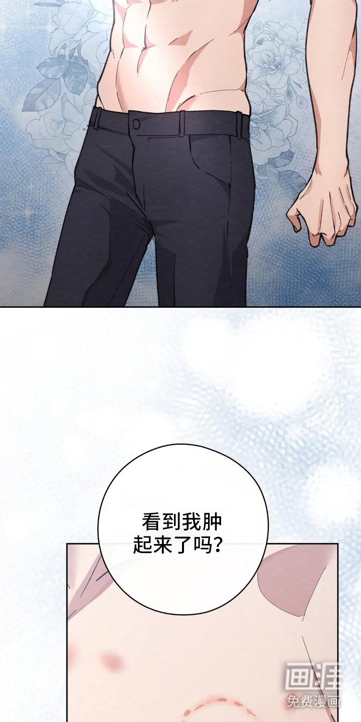 第5章：我干的吗