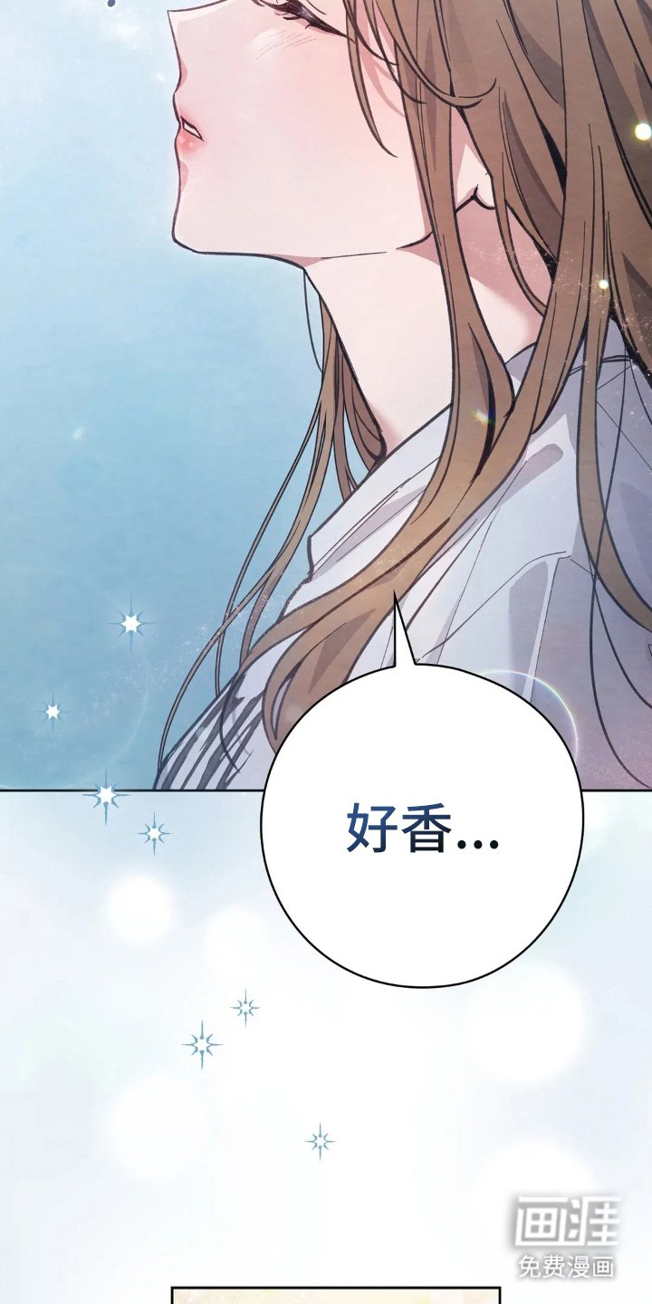 第8章：香味