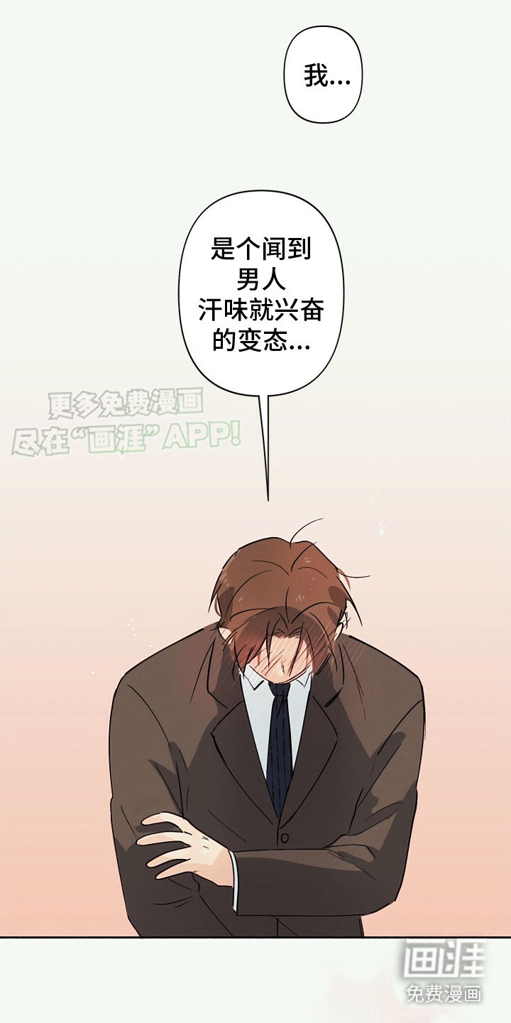第6章：坦白