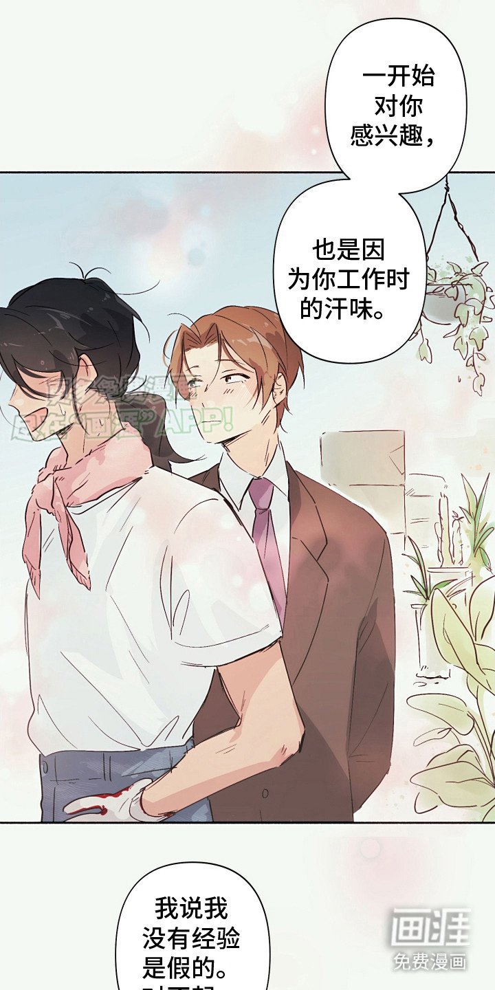 第6章：坦白