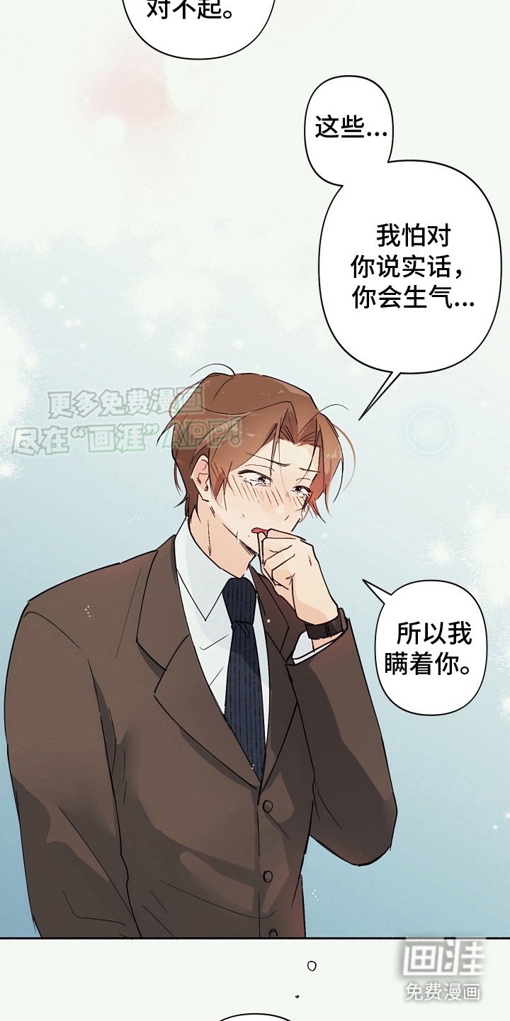 第6章：坦白