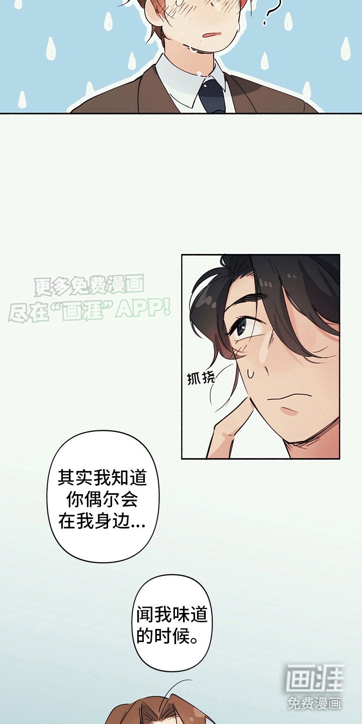第6章：坦白