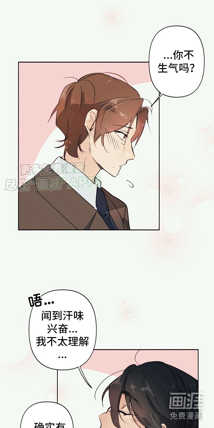 第6章：坦白