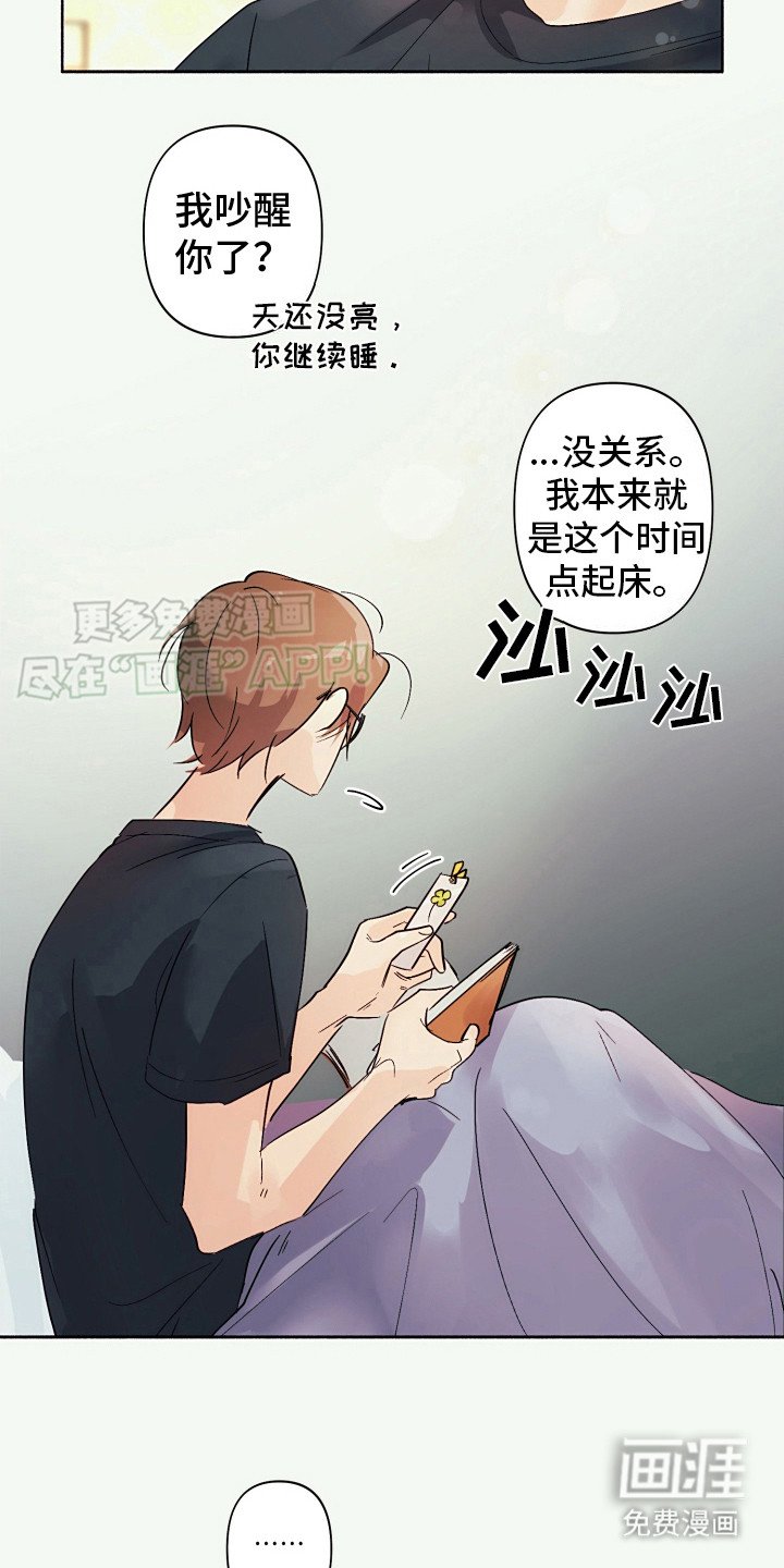第6章：坦白