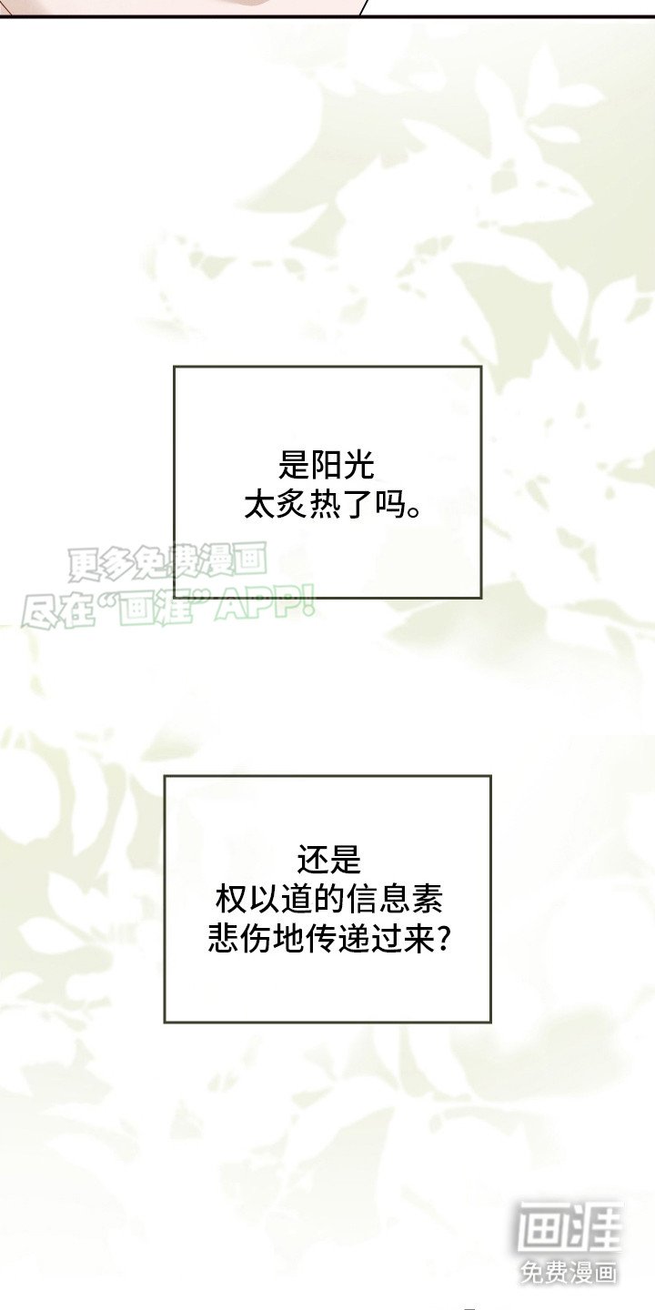 第11章：订婚仪式