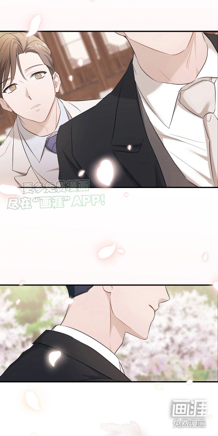 第11章：订婚仪式