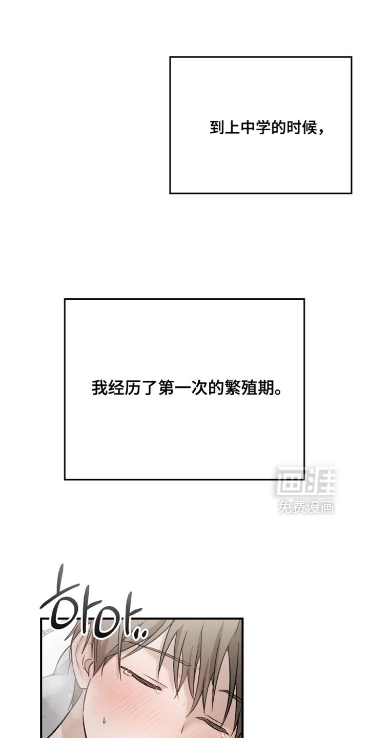 第145章：【第三季】除了脸一无是处