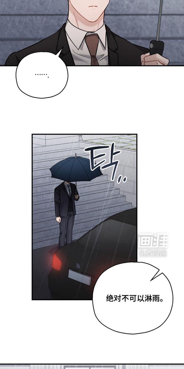 第156章：【第三季】喜欢淋雨