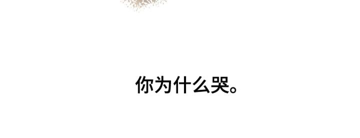 第38章：你为什么哭
