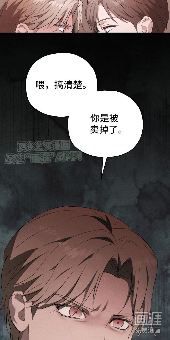 第5章：反对