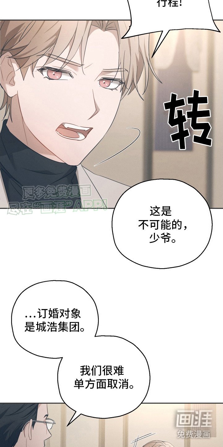 第5章：反对