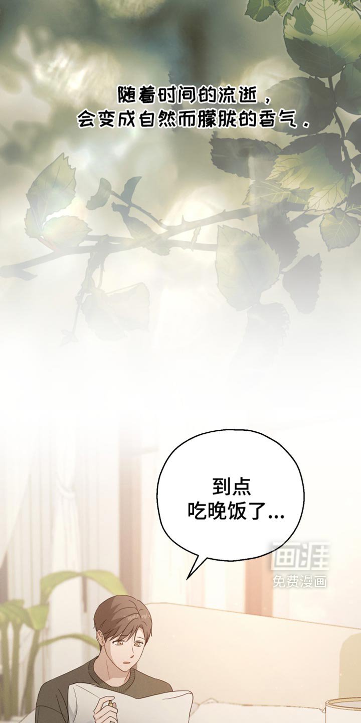 第59章：【第二季】我现在回去