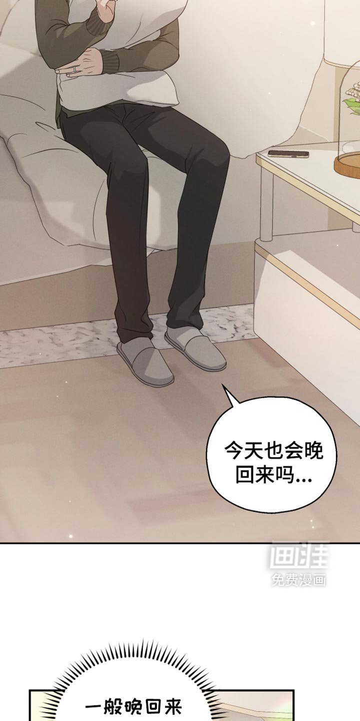 第59章：【第二季】我现在回去