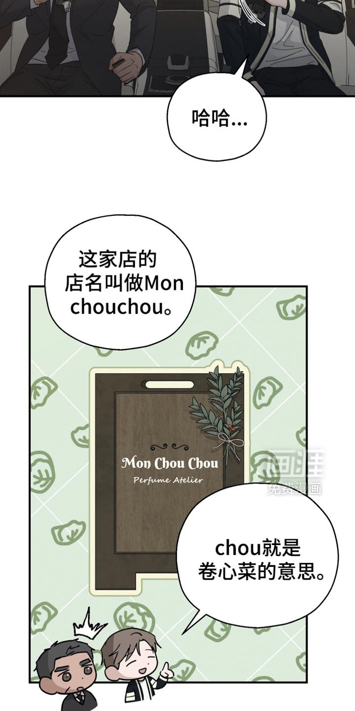 第77章：【第二季】卷心菜