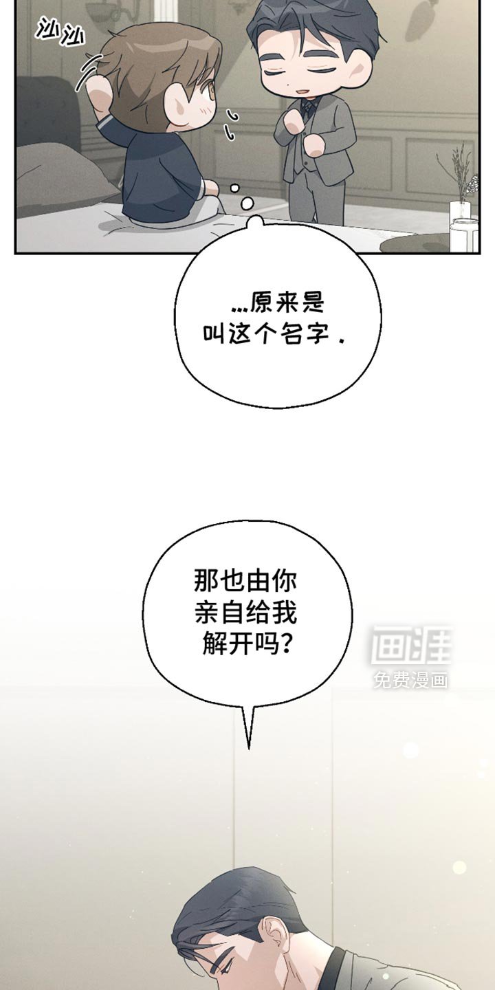 第81章：【第二季】资格证