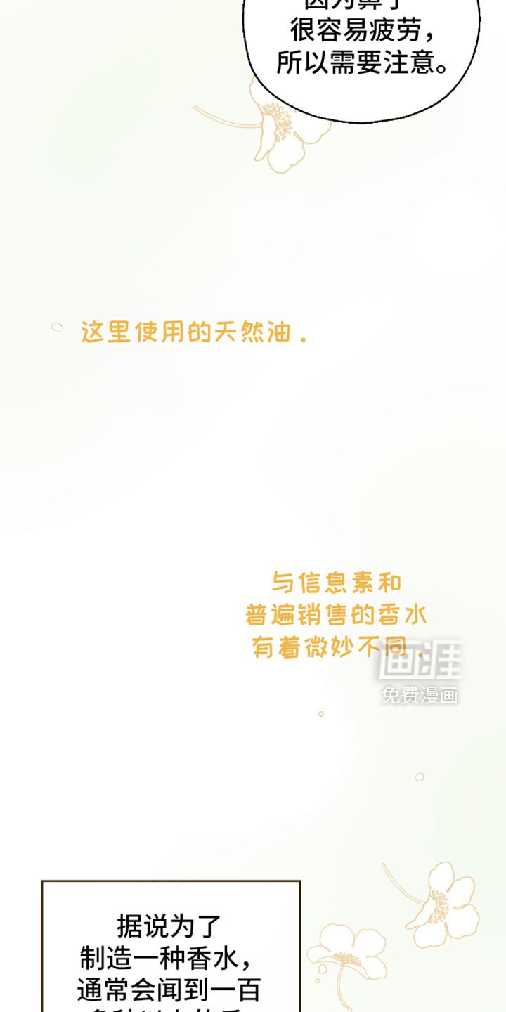 第81章：【第二季】资格证