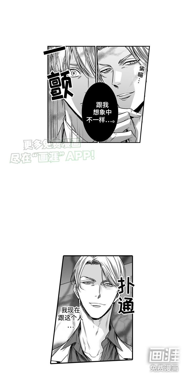 第18章：诱发剂