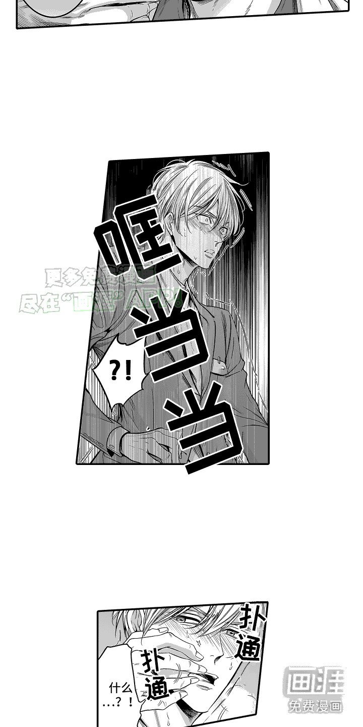 第18章：诱发剂