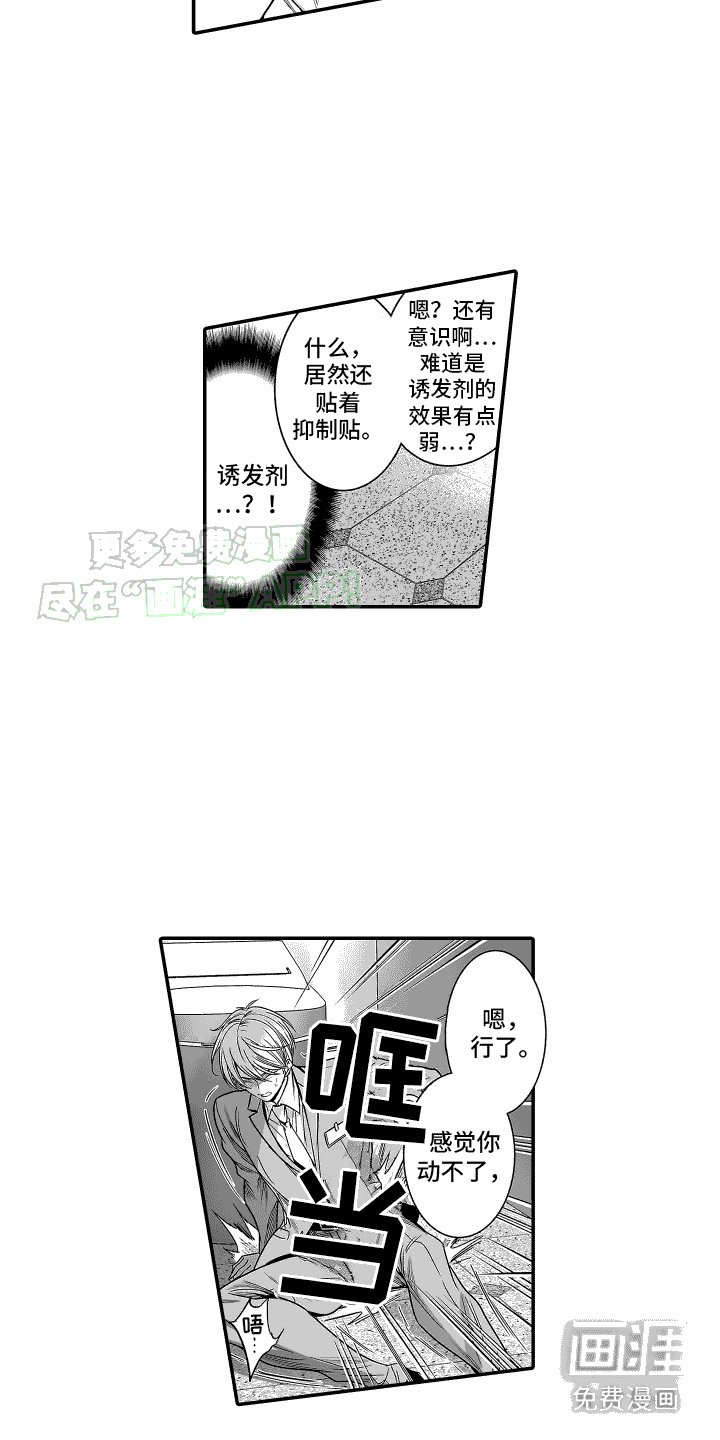 第18章：诱发剂