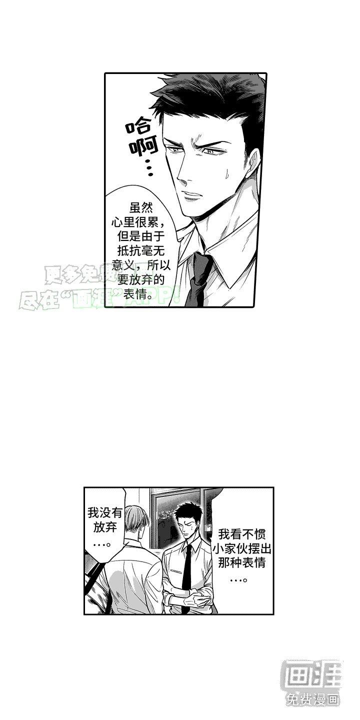 第19章：内心的选择