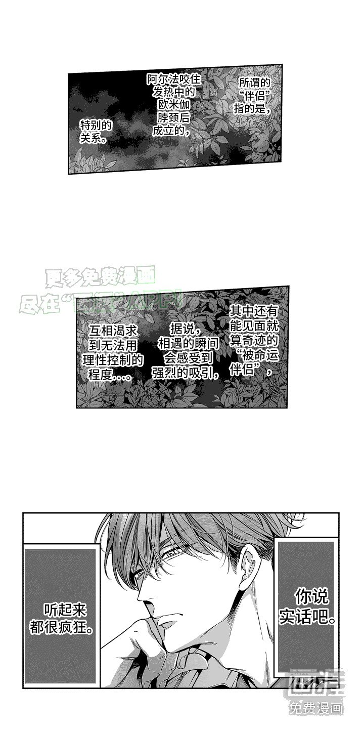 第2章：命运的相遇