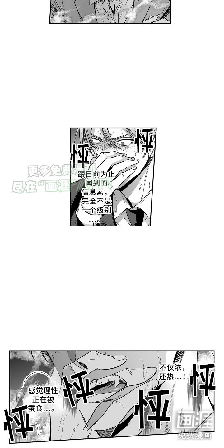 第22章：信息素