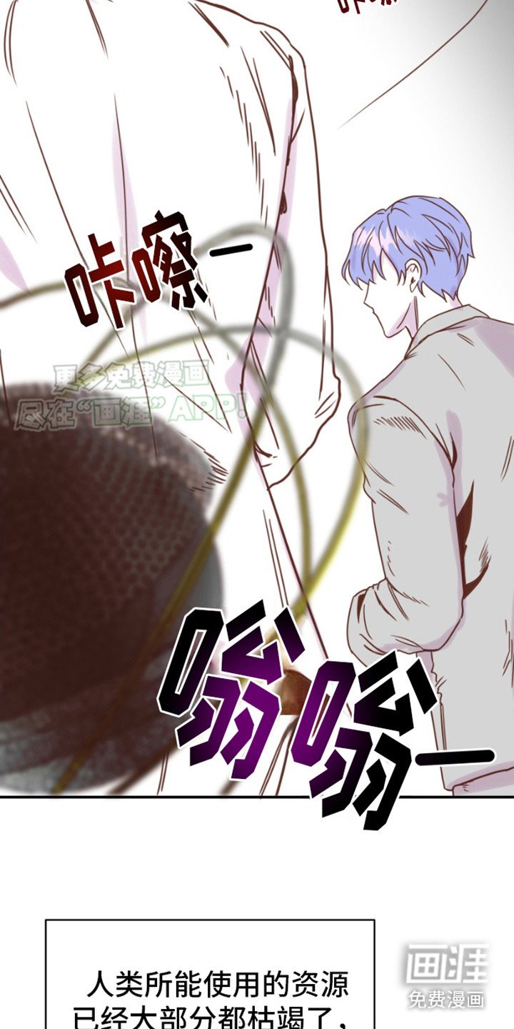 第12章：绿树公司