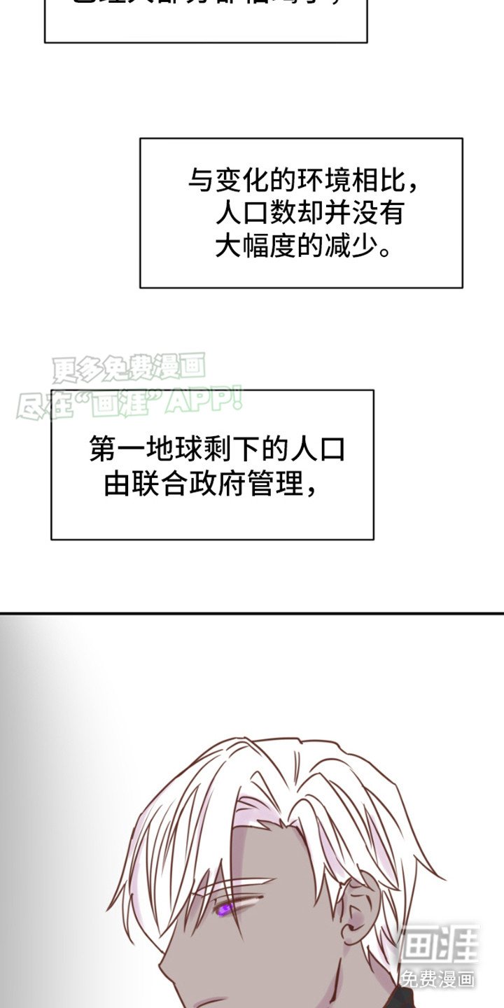 第12章：绿树公司