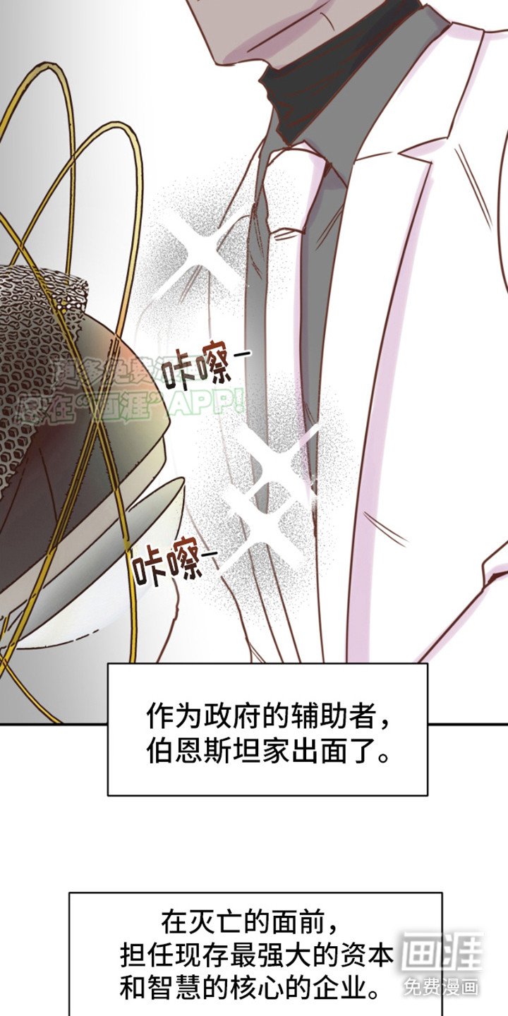 第12章：绿树公司