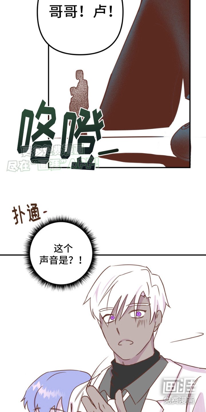 第12章：绿树公司