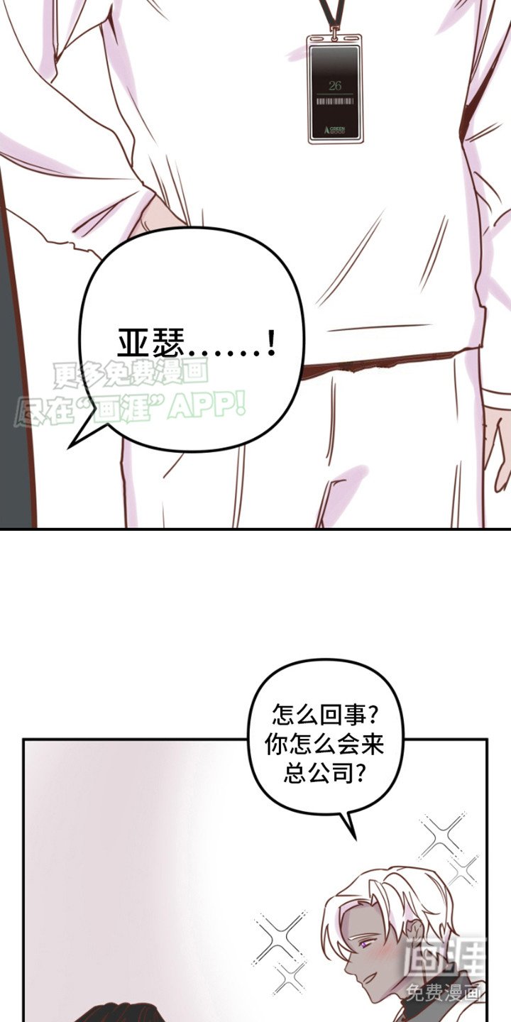 第12章：绿树公司
