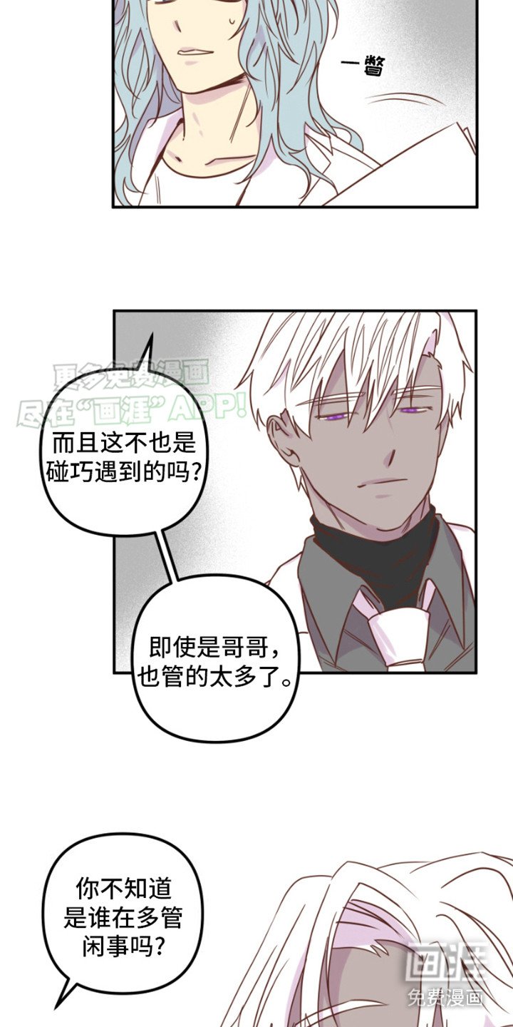 第13章： 多管闲事