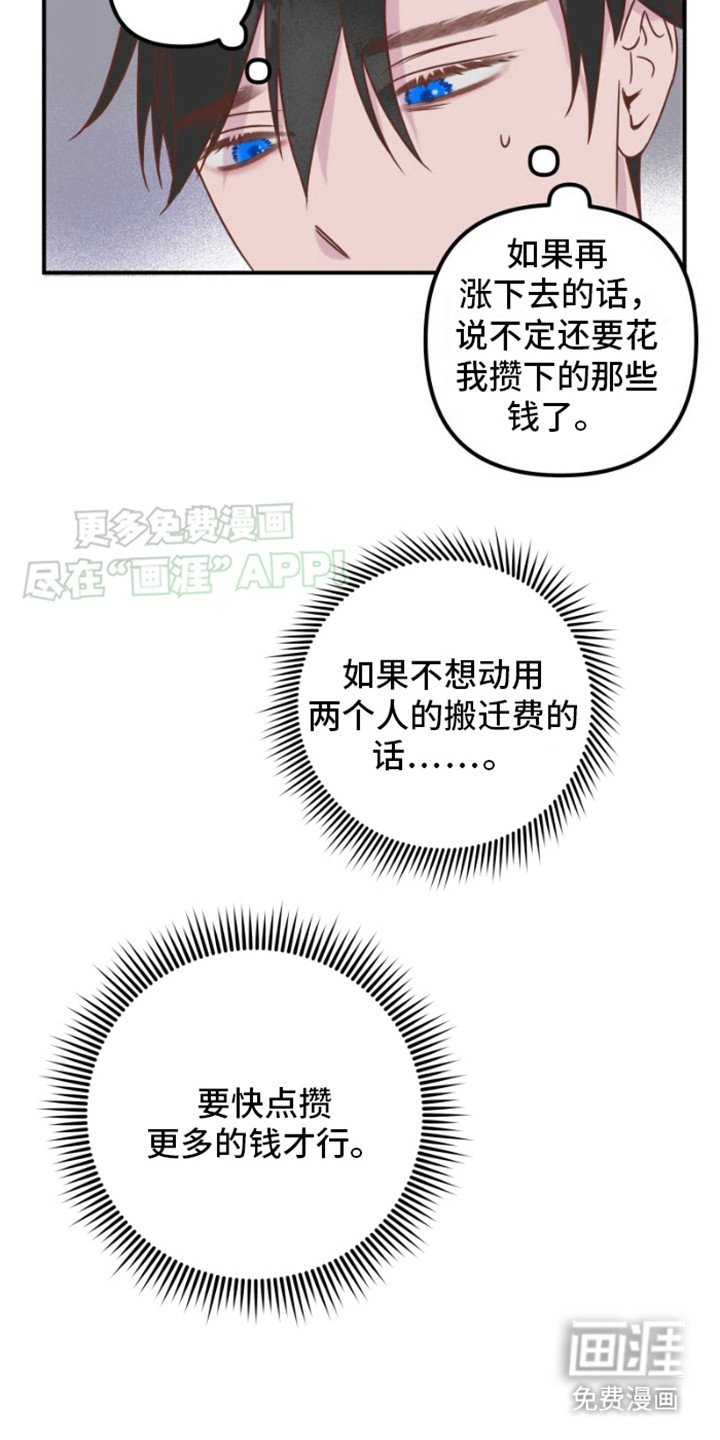 第15章： 涨价了
