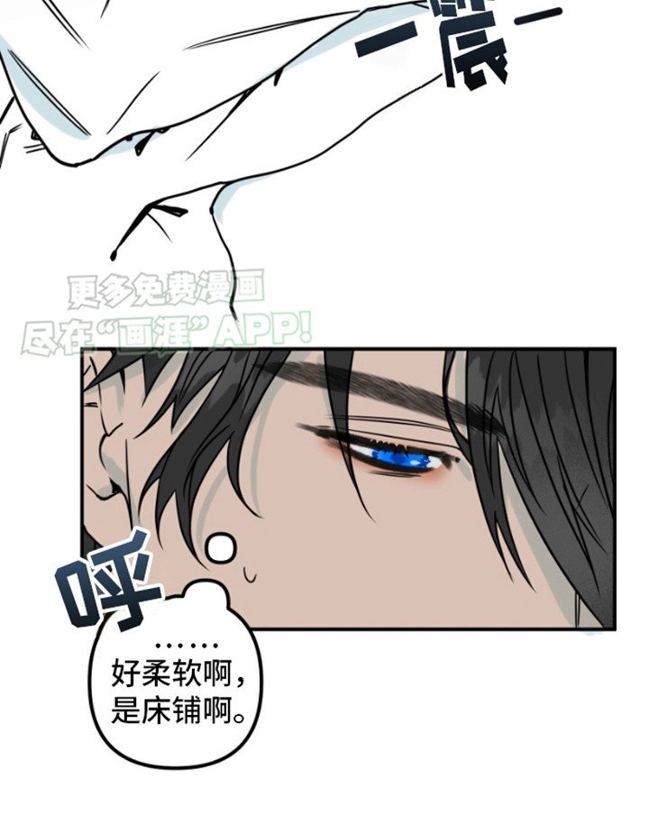 第15章： 涨价了