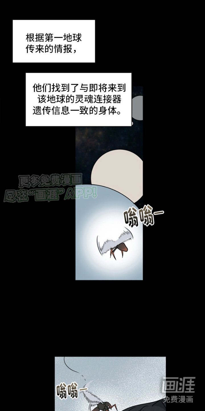 第18章：灵魂连接器